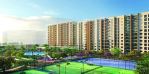 MAIA the seven basavanagudi